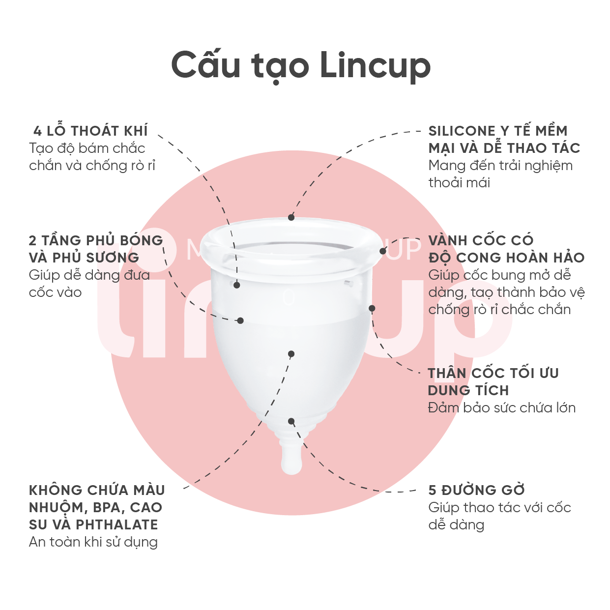 Combo Cốc nguyệt san Lincup kèm bàn chải, túi lụa