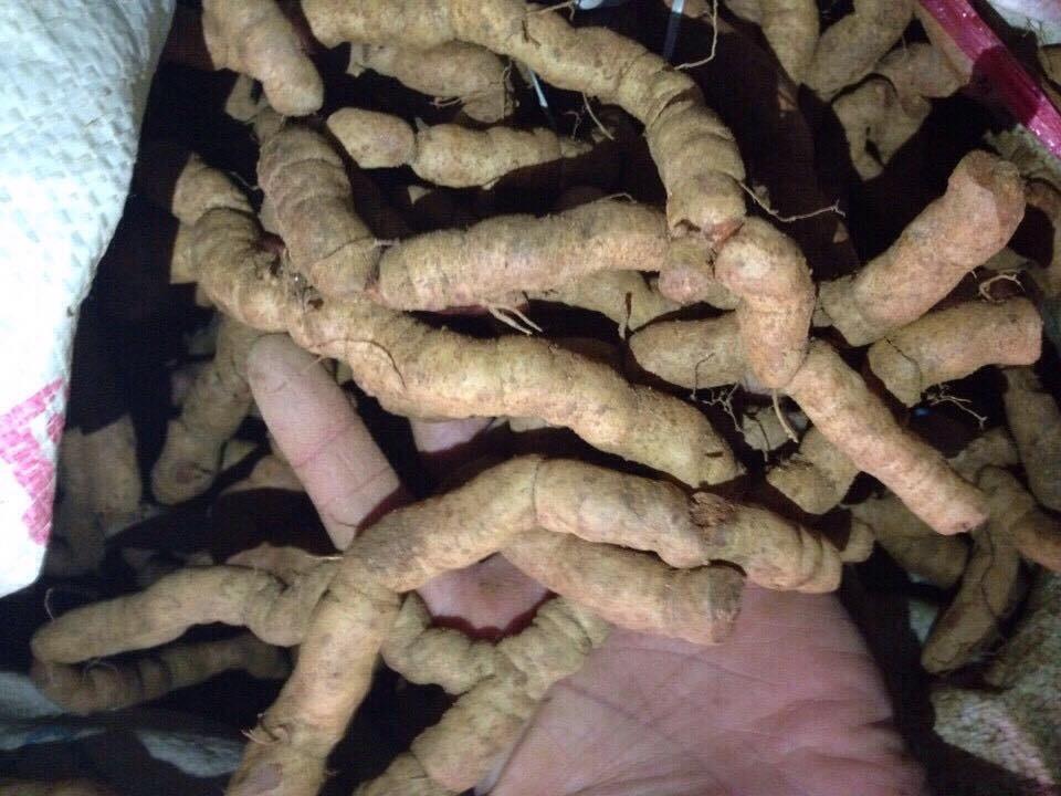 ba kích tím quảng ninh 2kg