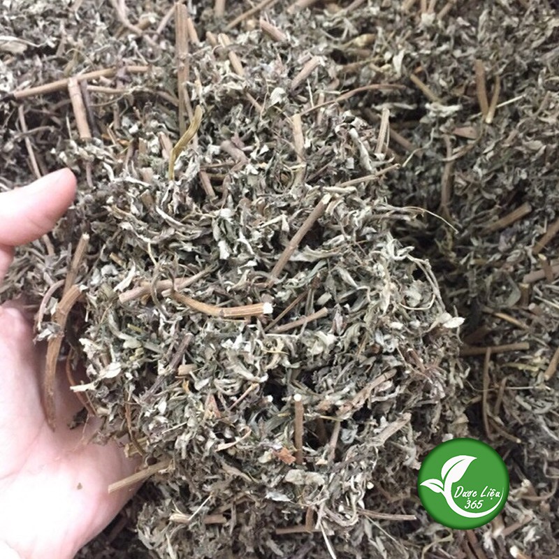 Ngải cứu khô [1kg] Cam kết hàng thơm sạch