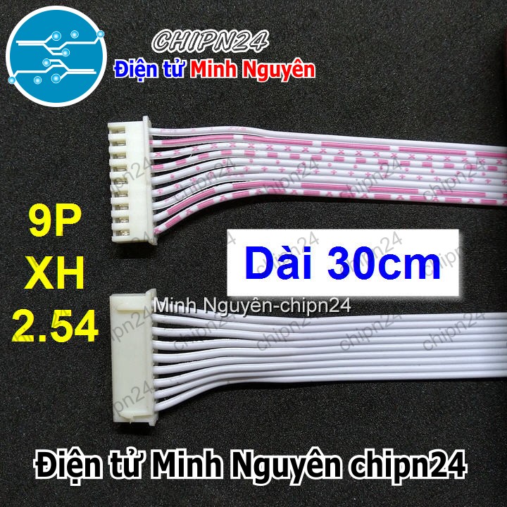 [1 sợi] (P29) Dây bẹ trắng 9P XH2.54mm 2 đầu cắm dài 30cm - HH001139