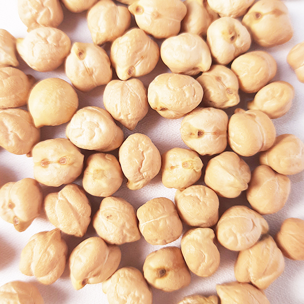 ĐẬU GÀ MỸ TÚI 1 KG