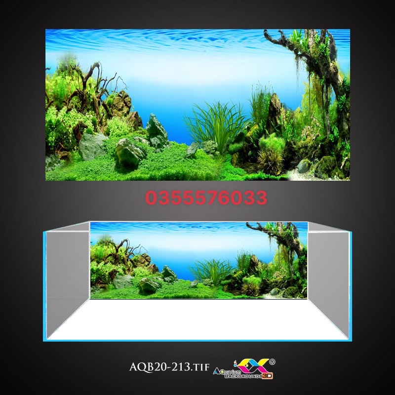 Tranh 3D dán bể cá cao cấp, có keo sẵn trên bề mặt, có thể in theo kích thước yêu cầu (40-50-60-70-80-90-100-120-150cm...)