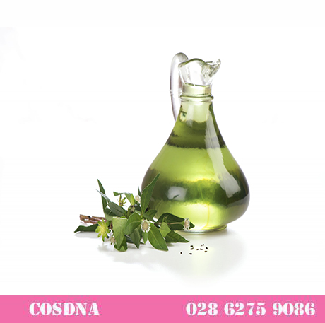 Dầu Cỏ Mực  (Bhringraj Oil)