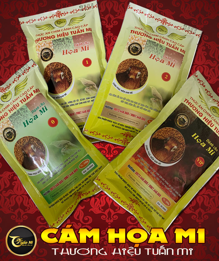 Cám Họa Mi VIP ( căng lửa nhạy)
