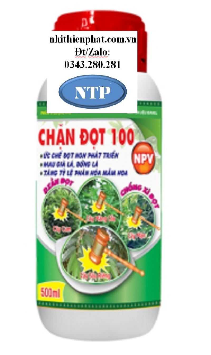 Phân bón lá Chặn Đọt 100 chặn không cho Sầu riêng hoa mai hoa đào ra cơi đọt, hạn chế rụng trái sinh lý