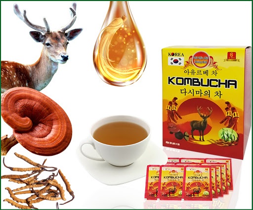 Trà Kombucha- Happy House