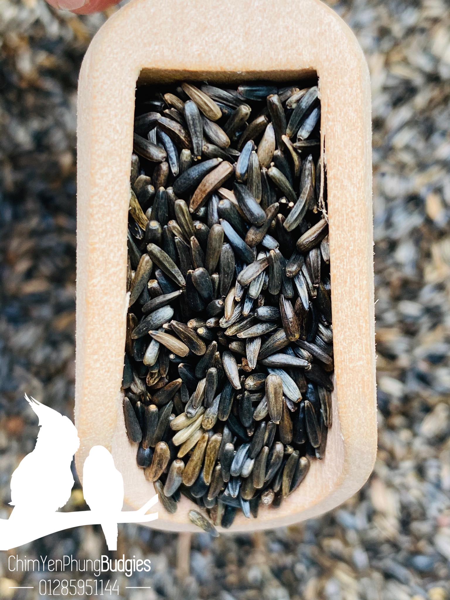500gram hạt Niger (Niger Seed) cho Yến Hót, Chim Cảnh.