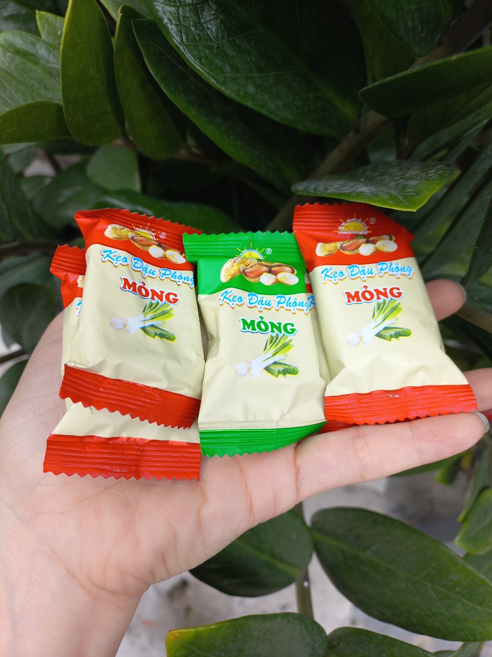 Tết 50g Kẹo ĐẬU PHỘNG HÀNH loại đặc biệt thơm ngon - Bánh kẹo tết Phú Xuân