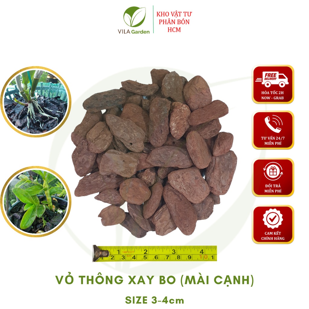 Vỏ thông xay bo size 3-4cm