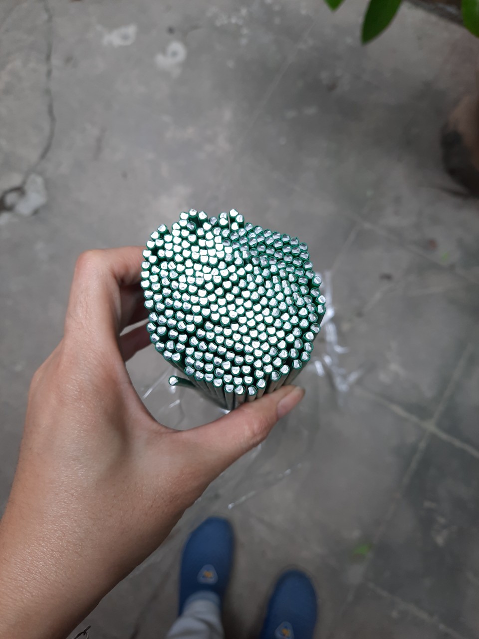 Que cắm lan-1kg 40cm