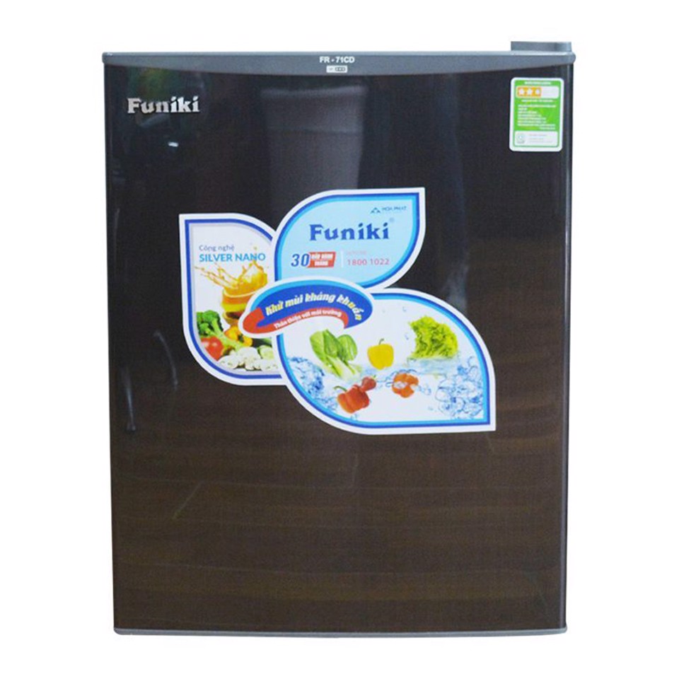 Tủ lạnh Funiki Hòa Phát FR 71CD 70 lít - xám