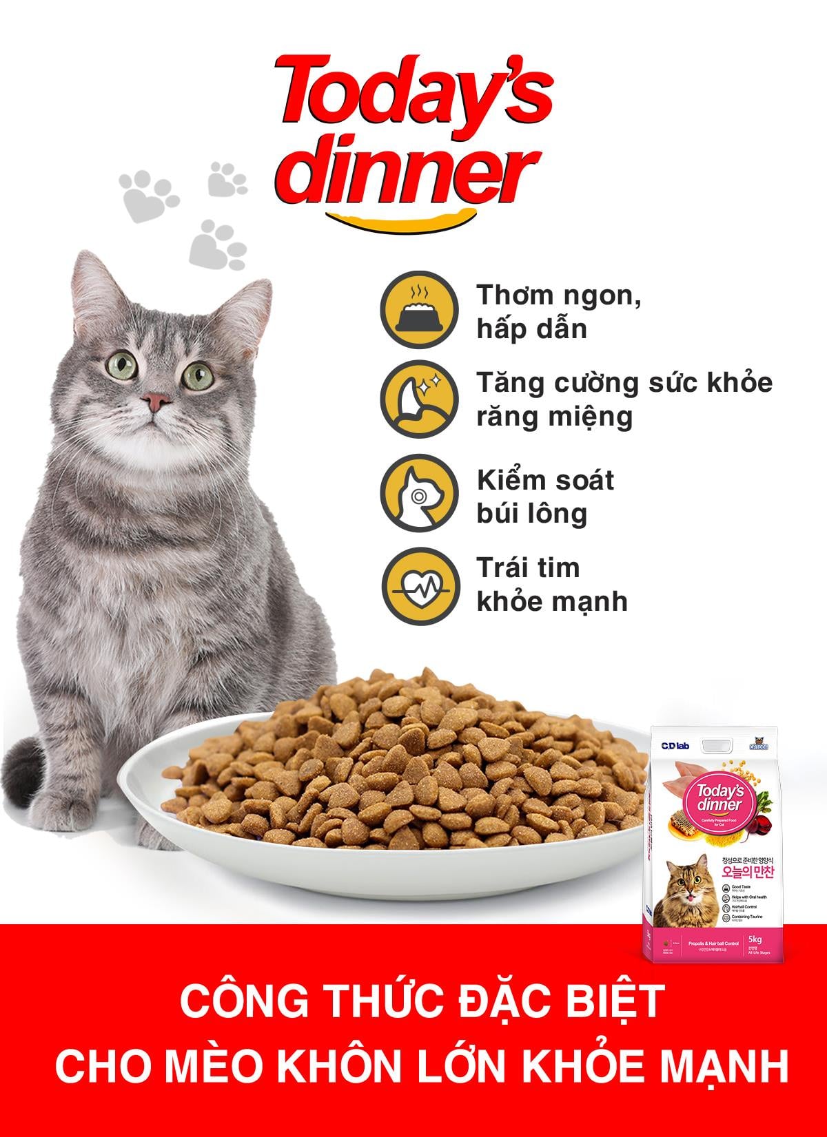 [Gói Dùng Thử] Thức ăn hạt cho mèo Today's Dinner