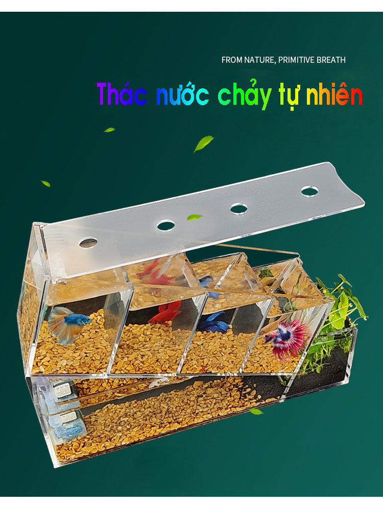 Bể cá betta acrylic đặc biệt kết cấu chéo