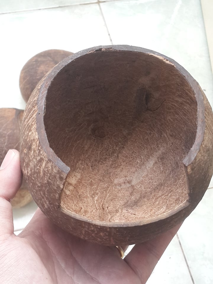 [HCM]Hang trú gáo dừa dành cho thú cưng nhỏ