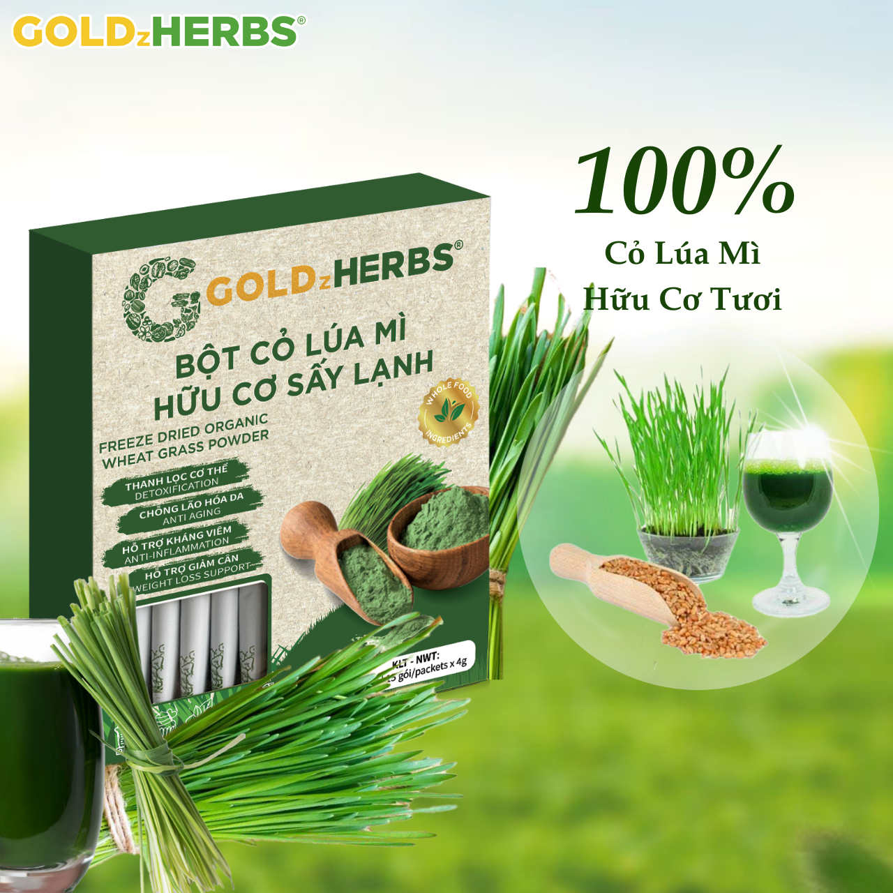 Bột cỏ lúa mì hữu cơ sấy lạnh GoldzHerbs, 100% nguyên chất - Hộp 15 gói x 4g