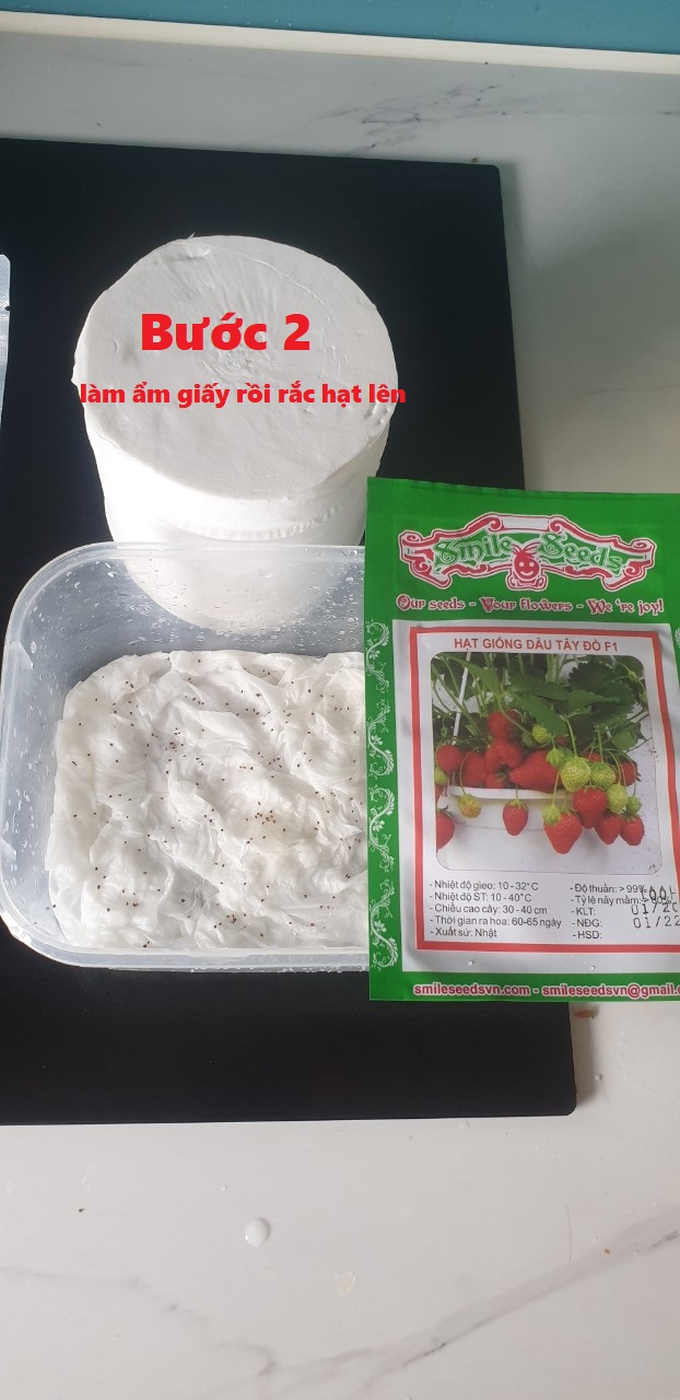 Hạt giống Dưa Lưới Melo 10 Hạt