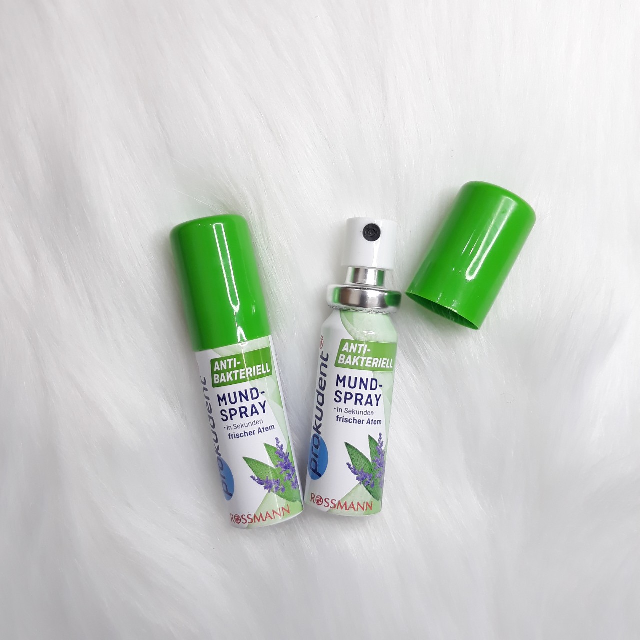 Xịt thơm miệng kháng khuẩn Prokudent 15ml Hàng Đức