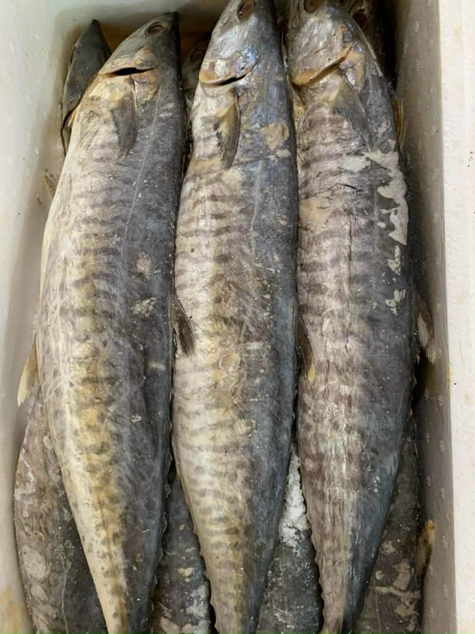 mắm thu muối vùi (có size cá lớn 500g- 900g 1con), mắm thơm ngon, Khô Thoại Sơn