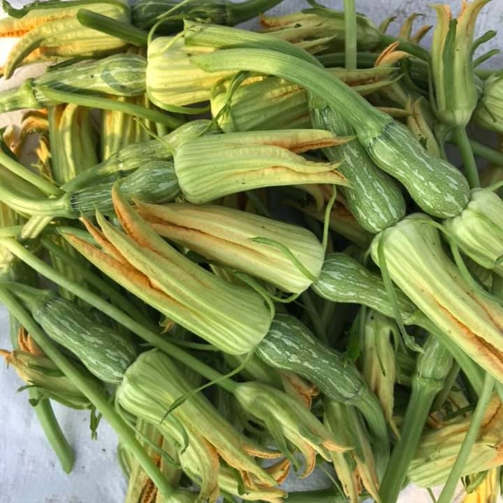 Hạt Giống Bí Nụ Ăn Non Giòn, Ngọt (0.5gr)