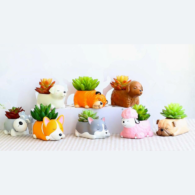 Chậu cây Corgi ngủ say R7A7N6