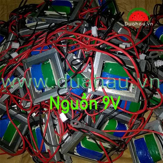 Mạch Lịch vạn niên - Không có khung treo