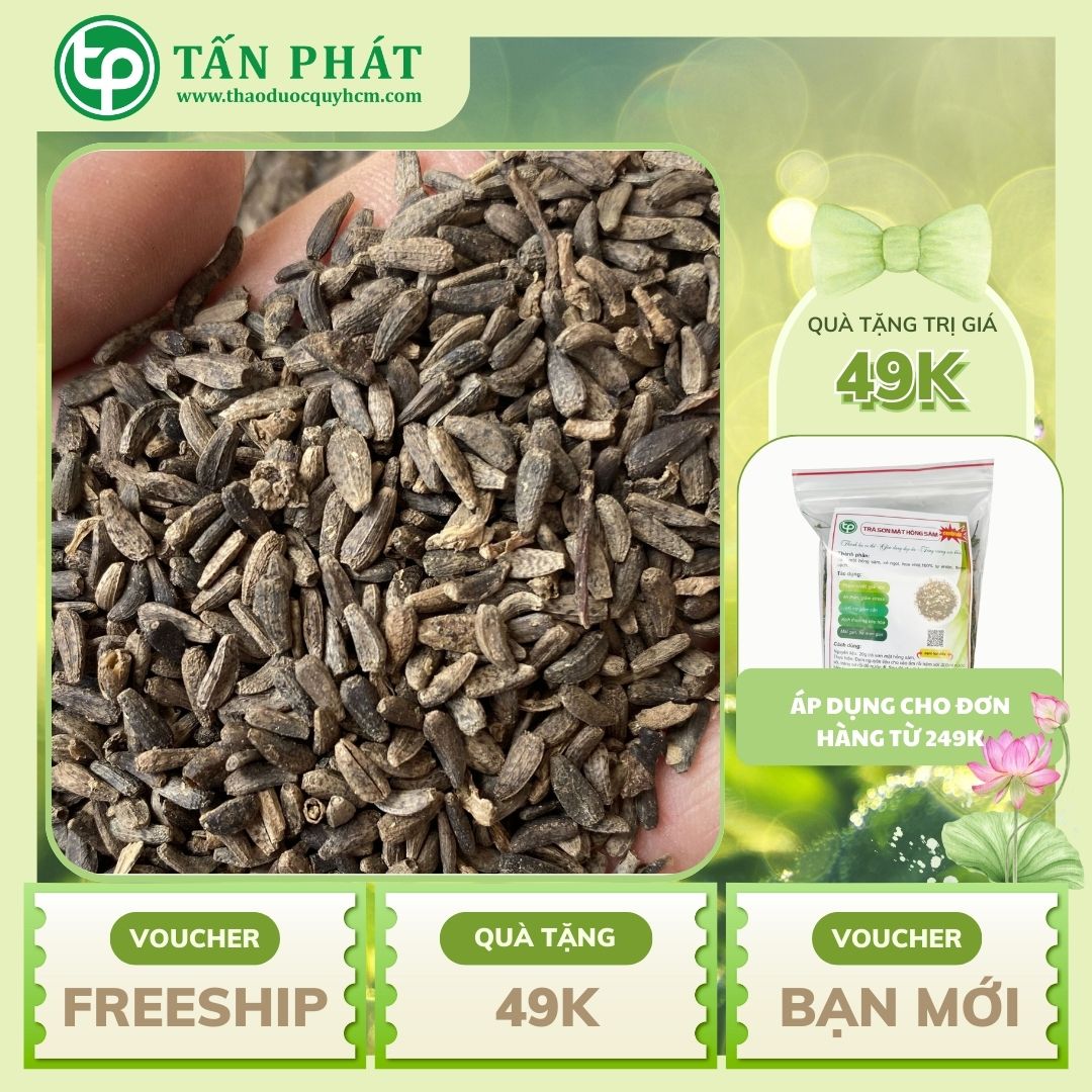 Ngưu bàng tử khô 500g - Thảo Dược Tấn Phát