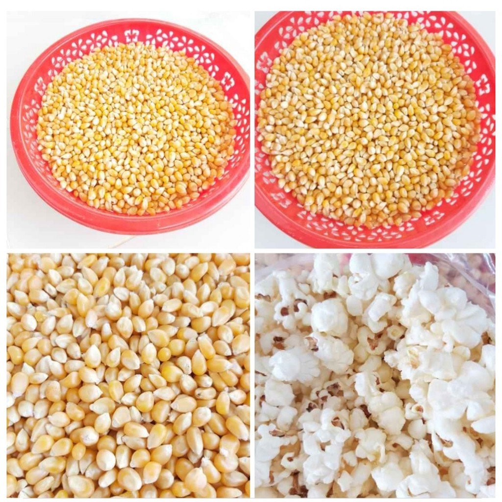 Túi 500gr hạt bắp rang bơ làm bổng