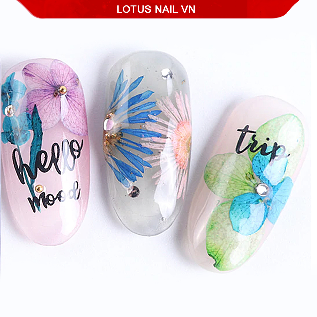 Hoa khô nail, hoa khô lụa tú cầu trang trí móng khay 7 màu