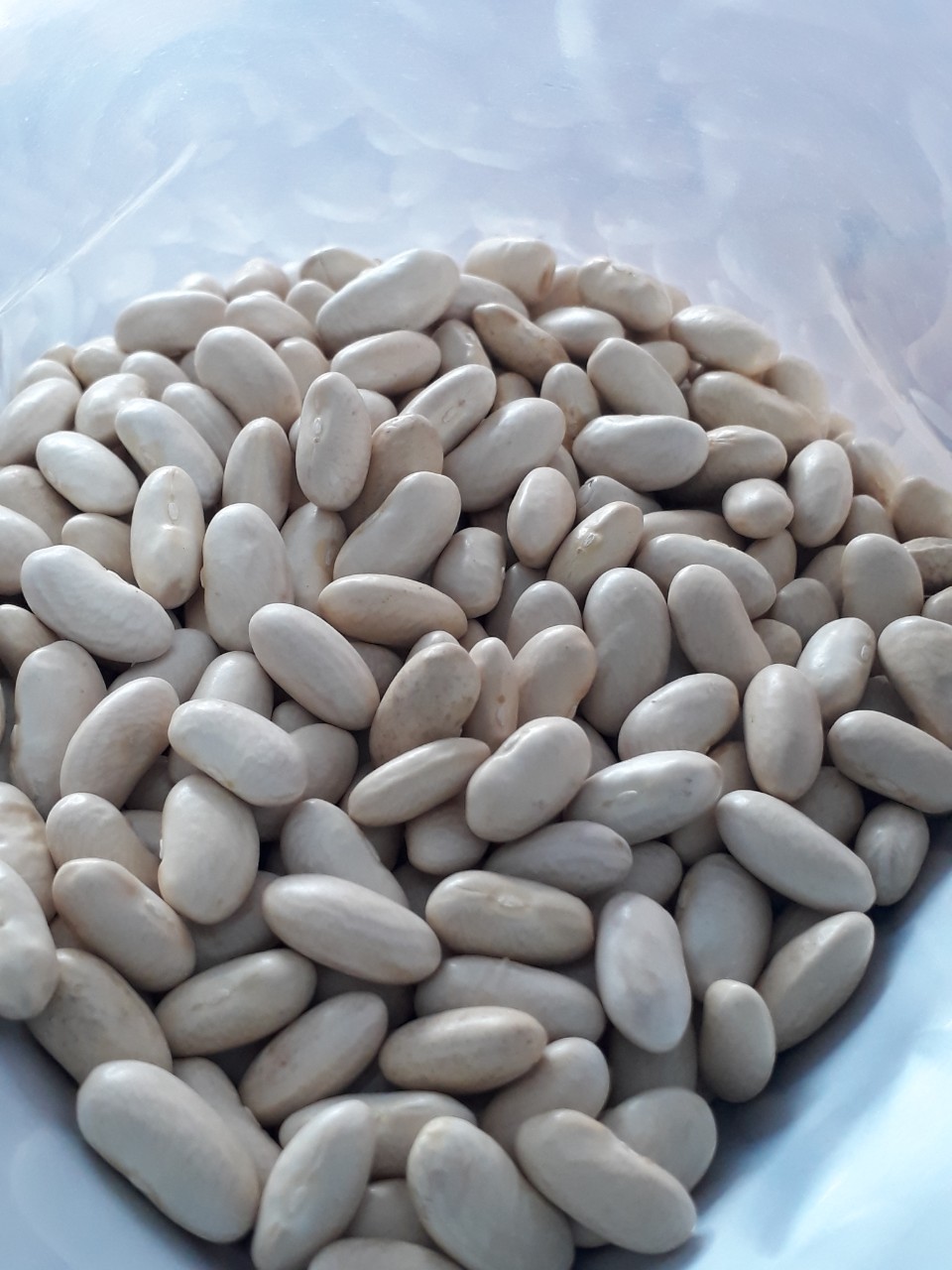 Đậu trắng to, 500g