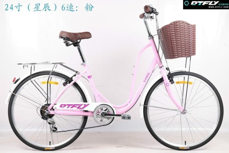 Mua [CHÍNH HÃNG] Xe đạp mini DTFLY đề shimano chính hãng