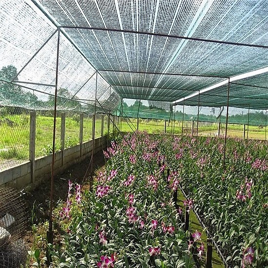Lưới che nắng thái lan