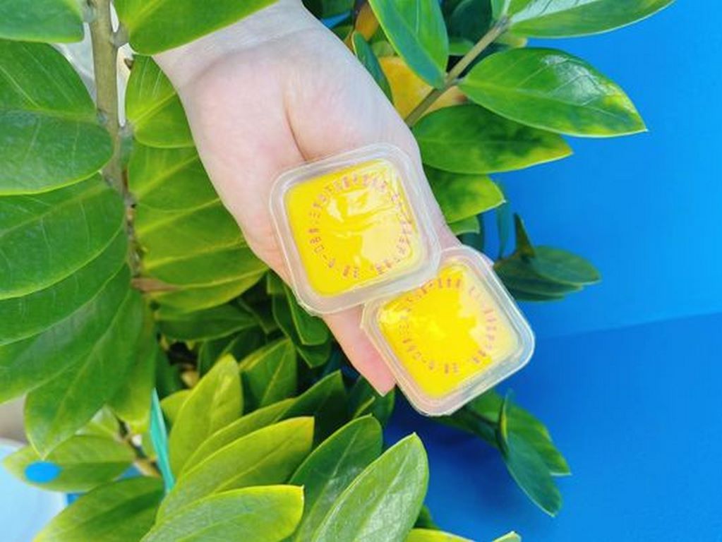 Rau câu bánh plan macau - siêu phẩm lẻ 3 cái