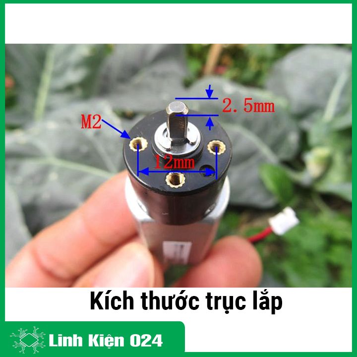 Động cơ giảm tốc 180 3V tốc độ motor 1350 vòng/phút