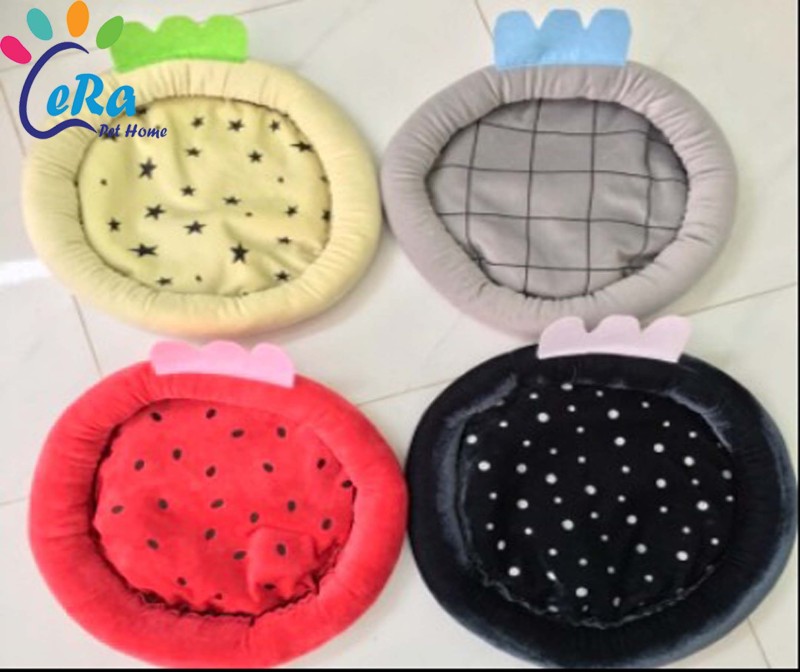 Nệm Tròn Trái Cây Cho Chó Mèo - Nệm 030
