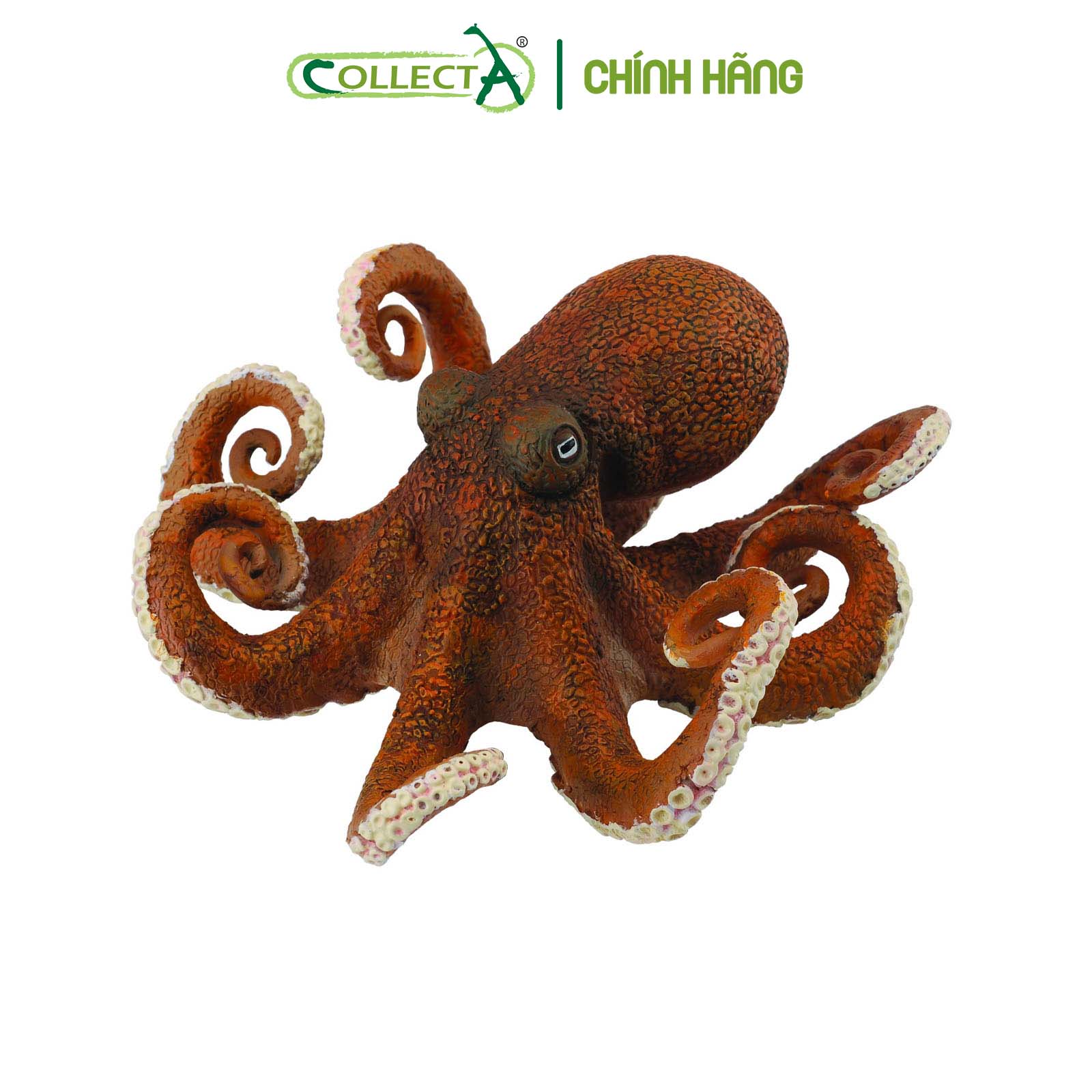Đồ chơi mô hình động vật CollectA Bạch Tuộc - Octopus