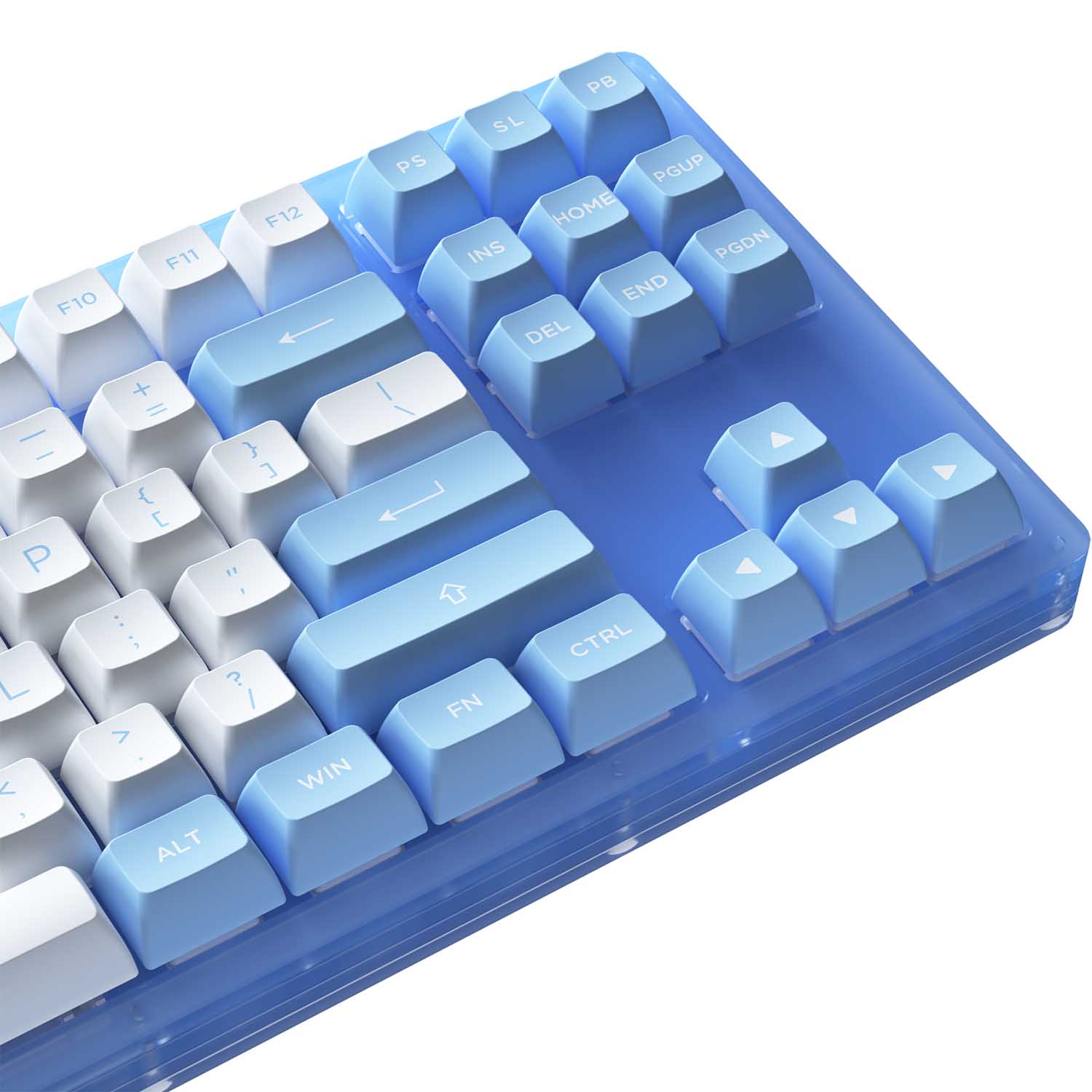 Bàn phím cơ AKKO ACR87 Blue (Hotswap / RGB / AKKO CS sw Jelly Blue)