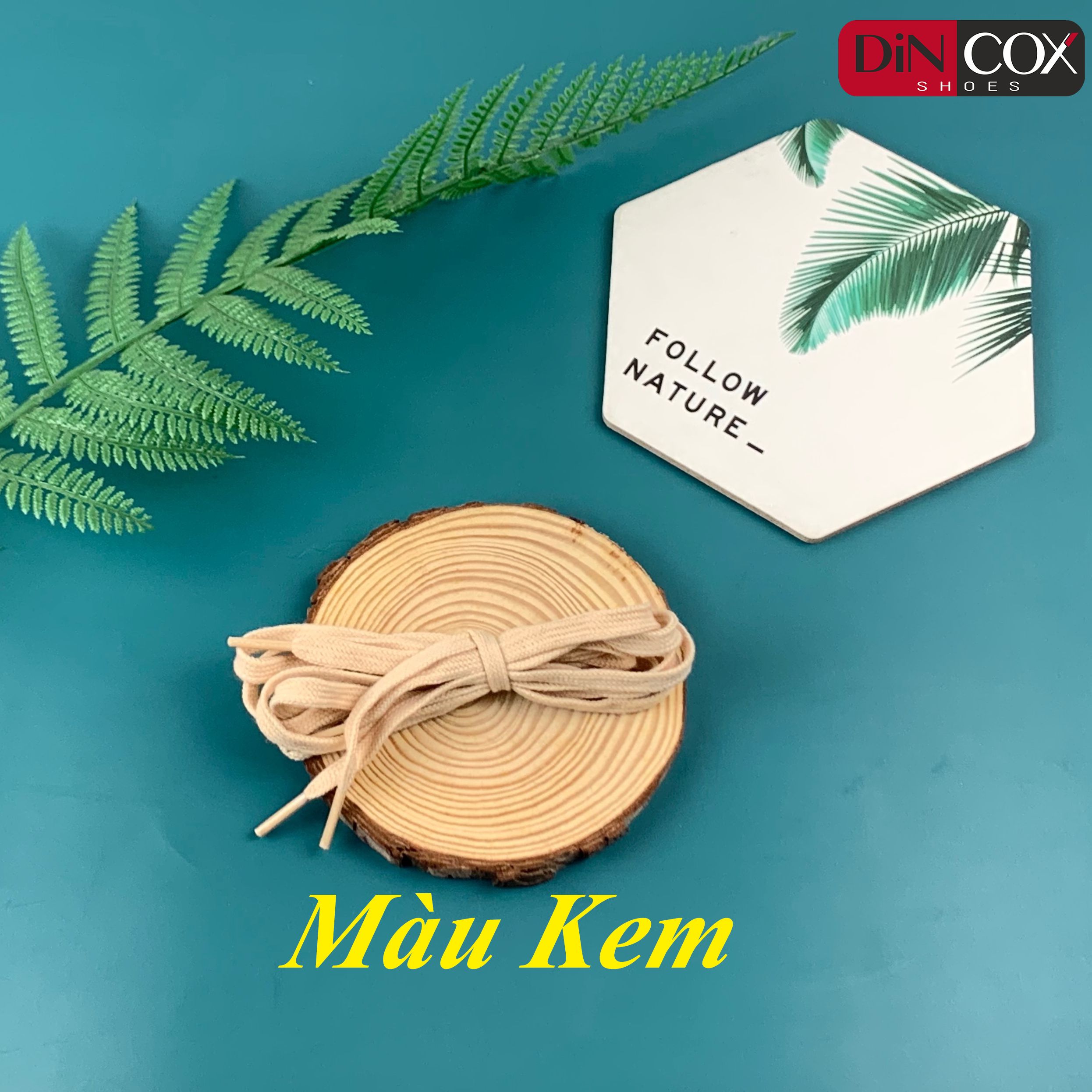 Dây Giày Sneaker Nam Nữ Chính Hãng DINCOX
