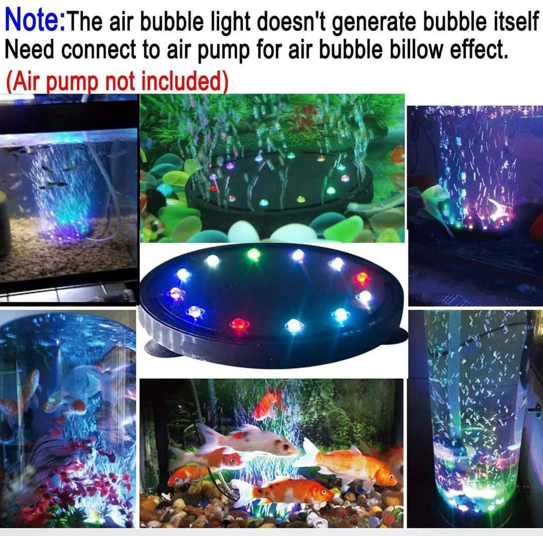 SỦI DĨA , DĨA SỦI CÓ ĐÈN LED ( Q9 NHỎ )