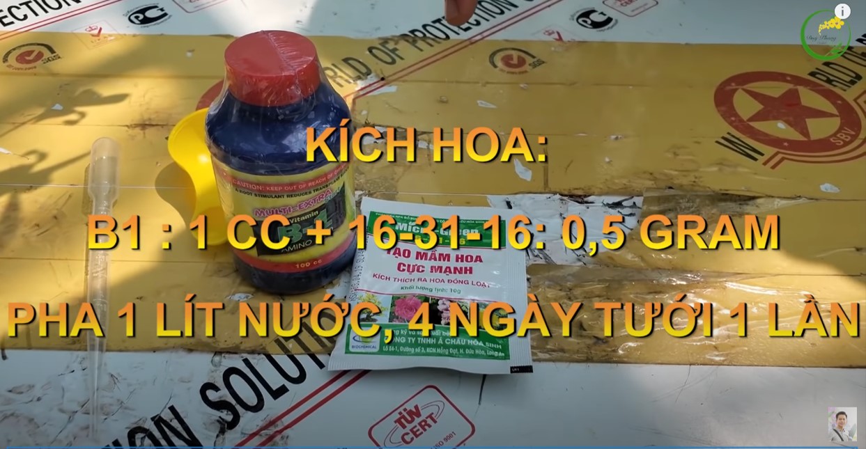 [Có video] Bộ combo 5 kích hoa, dưỡng hoa siêu đẳng