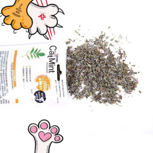 [HCM]Cỏ Bạc Hà Mèo Catnip Hahale – Gói Catmint