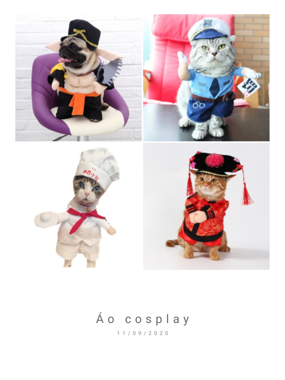 Áo cosplay cho chó mèo S, M, L (Inbox chọn mẫu)