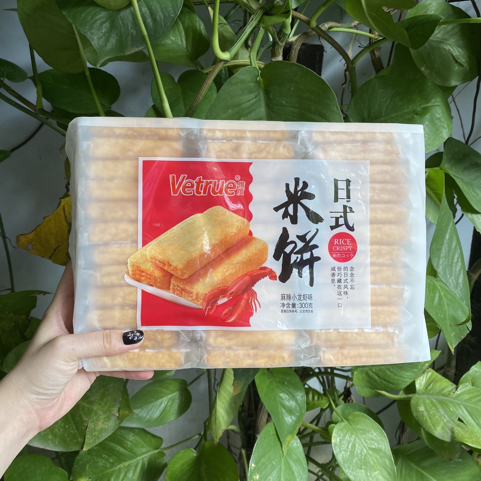 Vetrue Rice Cake with Lobster Flavor (300g Pack)