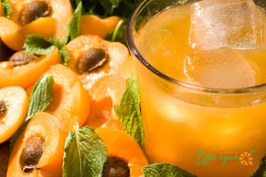 SIRO GIFFARD MƠ 1L - GIFFARD APRICOT SYRUP