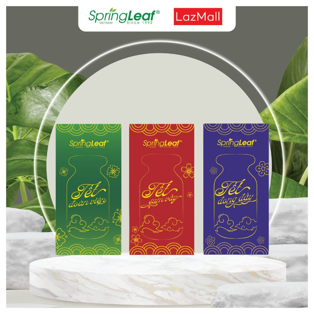 [Quà tặng] Set 06 bao lì xì SpringLeaf Tết 2024 03 màu