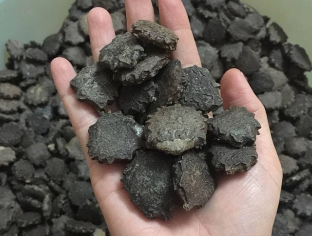 1 kg hạt gấc khô