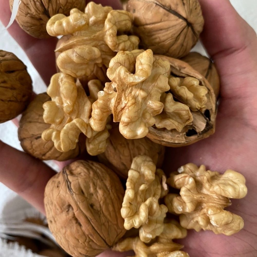 [HCM]500g Nhân Hạt Óc Chó Thương Hiệu Mourad