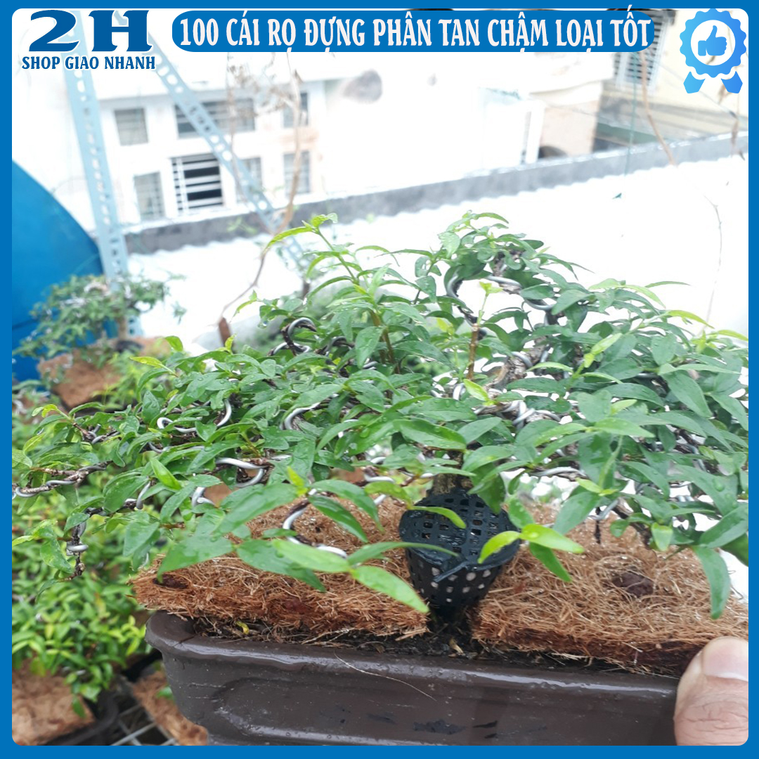 200gr phân tan chậm 14-13-13 kèm 10 giỏ đựng phân