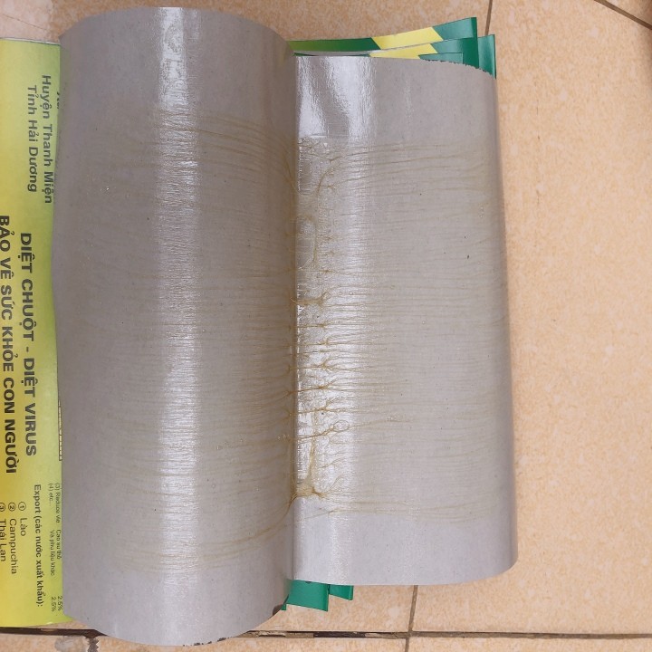 Bẫy Chuột Vỉ ComBo 10 Vỉ
