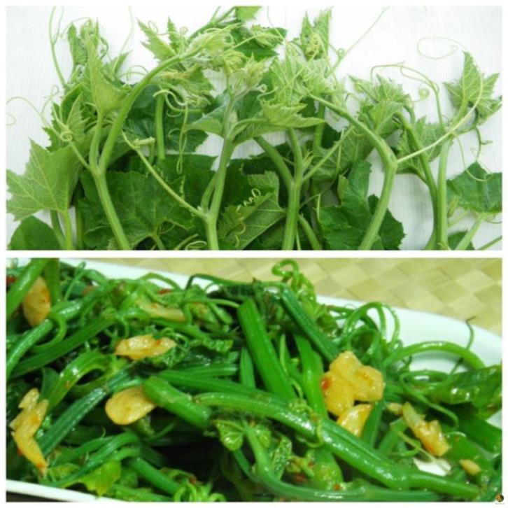 Hạt Giống Bí Ngọn Siêu Đọt- Gói 20 Gram