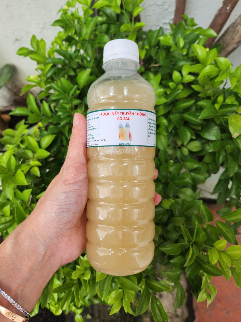 Traditional Fermented Nep Le Wine